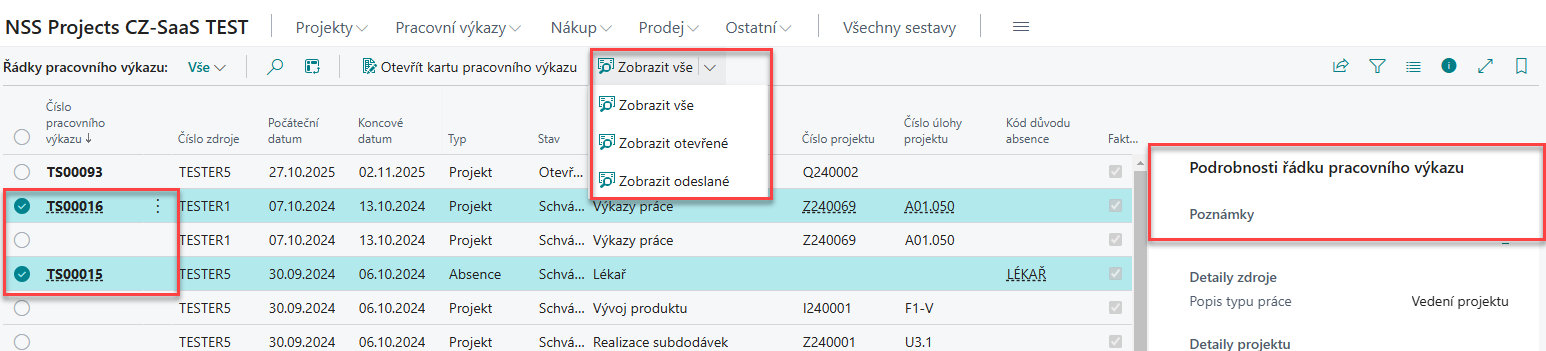 projekty-pracovni_vykazy4.png