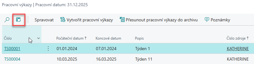 projekty-pracovni_vykazy5.png